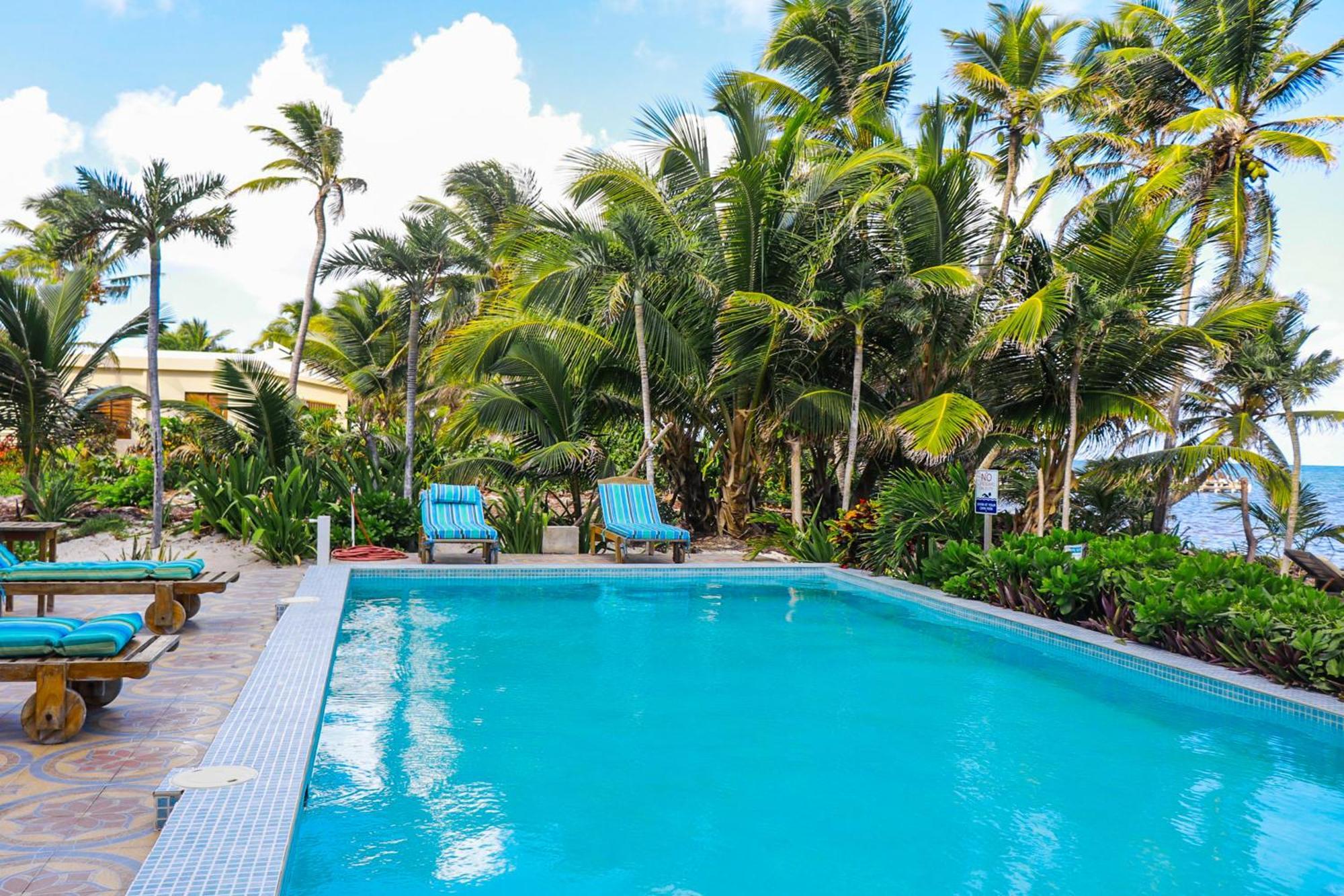 Blue Water Beach Villas San Pedro (Ambergris Caye) Quarto foto