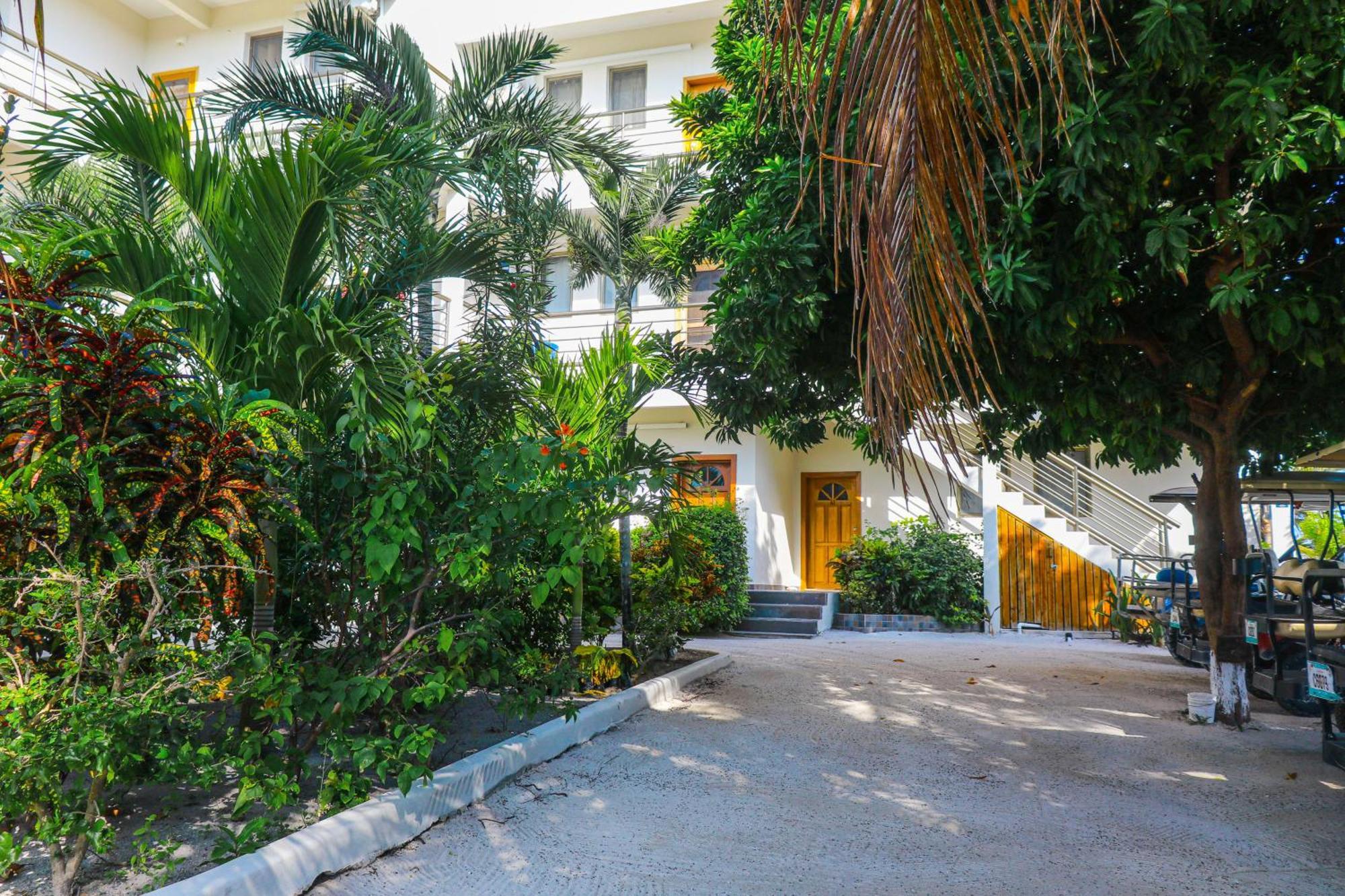 Blue Water Beach Villas San Pedro (Ambergris Caye) Quarto foto