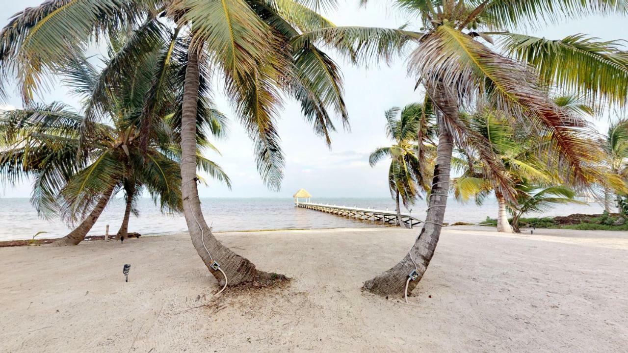 Blue Water Beach Villas San Pedro (Ambergris Caye) Quarto foto